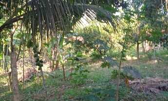 Imagem 6: Chácaras no Horto Baratinha