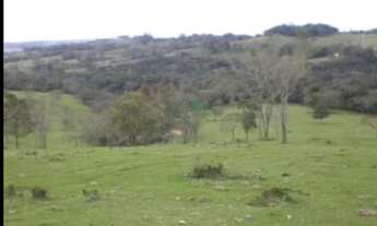 Imagem 3: Fazenda na pecuária na beira da Raposo Tavares