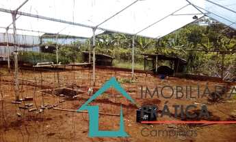 Imagem 6: CHACARA 3MIL M² EM SANTA CRUZ RIO PARDO -SP