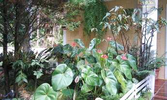 Imagem 7: Chácara à venda, 4000 m² por R$ 580.000,00 - Eldorado - Itu/SP