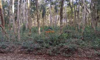 Imagem 3: COTIA - Terreno Padrão - TIJUCO PRETO