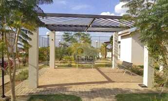 Imagem 7: Grande oportunidae