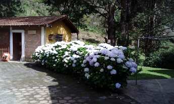 Imagem 2: Fazenda/Sítio/Chácara para venda tem 350 metros quadrados com 4 quartos