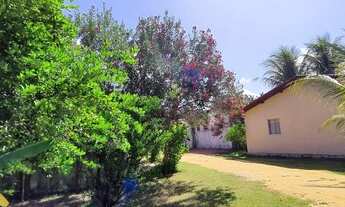 Imagem: Casas de 01 e 02 quartos São Miguel dos