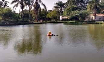 Imagem 2: Fazenda/Sítio/Chácara para venda possui 20000 metros quadrados de área total