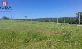 Imagem 6: COCAL DO SUL - Terreno Padrão - Jardim Das Pameiras