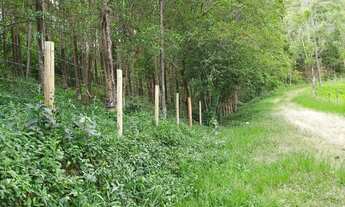 Imagem 4: Fazenda-para-Venda-em-Centro-Paulo-Lopes-SC