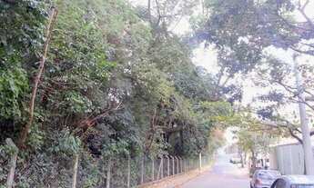 Imagem: TERRENO - JARDIM EMÍLIA