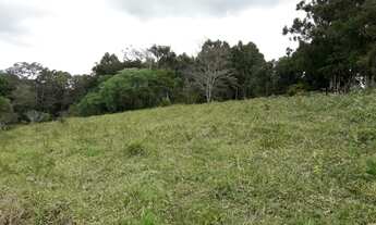 Imagem 4: REF. 336 SITIO DE 8 ALQUEIRES EXCELENTE LOCALIZAÇÃO