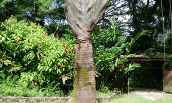 Imagem 3: Fazenda/Sítio/Chácara para venda com 200 metros quadrados com 3 quartos