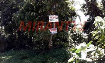 Imagem 2: Em Serra Da Cantareira