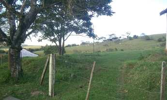 Imagem 2: Faz. Centenária Elô