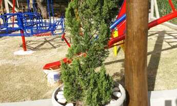 Imagem: Sítio Itapira 300 mts do asfalto