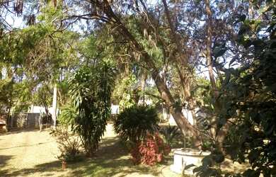 Imagem 2: Terreno - Parque da Represa - Paulínia