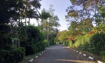 Imagem 2: Terreno na Região da Granja Viana - Cotia