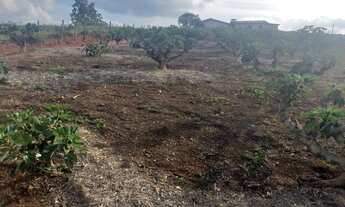 Imagem 3: Fazenda/Sítio/Chácara para venda tem 200 metros quadrados com 2 quartos