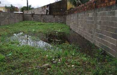 Imagem 4: Terreno à venda, 250 m² por R$ 110.000,00 - Jardim das Palmeiras - Itanhaém/SP