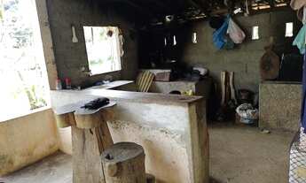 Imagem 5: Sítio pronto para engorda de peixes e com produção de Palmitos Pupunha (Willian Ricardo