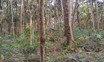 Imagem 2: COTIA - Terreno Padrão - TIJUCO PRETO