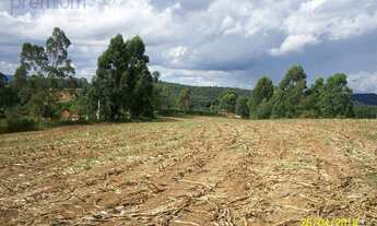 Imagem 4: Sítio com 2 dormitórios à venda, 228448 m² por R$ 1.350.000,00 - Zona Rural - Pinhalzinho