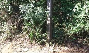 Imagem 7: Terreno em Mairiporã com área total de 1.193,55 M²