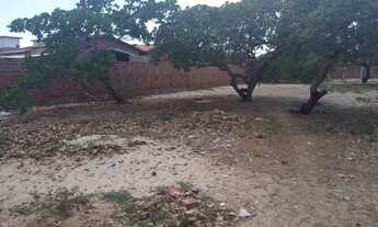 Imagem 4: São Miguel do Gostoso - Loteamento/Condomínio - Maceió