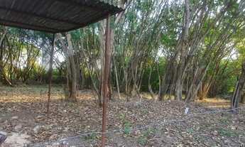 Imagem: área - Dois Córregos - Valinhos