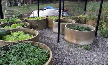 Imagem 5: Chácara a venda em Pinhalzinho /SP