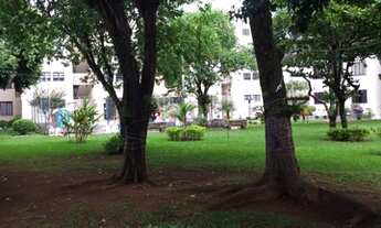 Imagem 6: Venda Apartamento no Jardim Figueiras