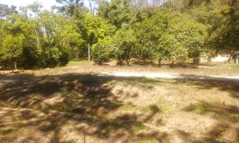 Imagem 5: Ótima Área Para Investidor