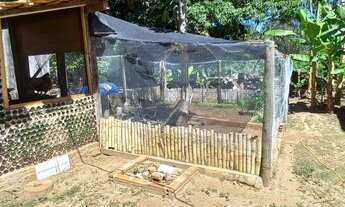 Imagem 4: Sitio de 14,9 hectares há 7km da cidade de Botucatu-SP