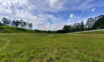 Imagem 3: Lote/Terreno para venda possui 124177 metros quadrados em Caruara - Santos - SP