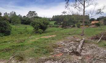 Imagem 2: Sitio com 1 alqueire e meio