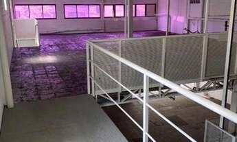 Imagem 7: Galpão, 1000 m² - venda por R$ 2.990.000 ou aluguel por R$ 20.000/mês - Santa Paula - São