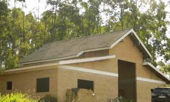 Imagem 3: Excelente sitio de 1 alqueire na zona leste de São José dos Campos