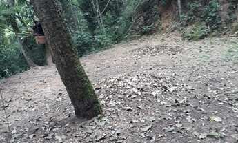 Imagem 4: Chacara em Campo Limpo Paulista