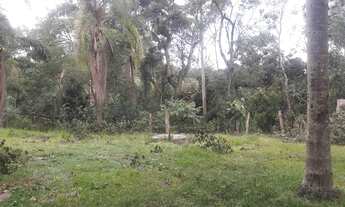 Imagem 3: JACAREí - Terreno Padrão - Parateí do Meio