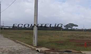 Imagem 2: CANOAS - Padrão - Industrial