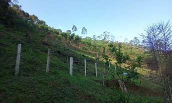 Imagem 4: Sitio de 2 alqueires com lago