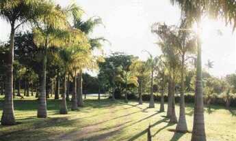 Imagem 4: ÁREA COM/RES em MONTE MOR - SP, MONTE MOR