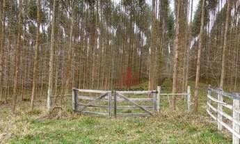 Imagem 6: Sítio à venda, 326700 m² por R$ 1.755.000,00 - Guarei - Guareí/SP