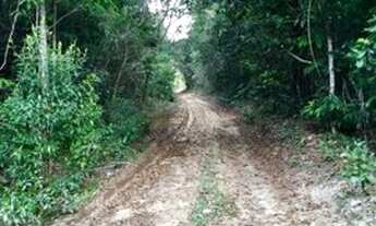 Imagem 6: Fazenda para Venda em Porto Seguro, arraial d ajuda