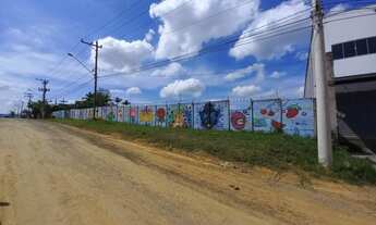 Imagem 5: Terreno Comercial para venda com 2.100 metros quadrados na Rodovia Bunjiro Nakau km 49,5