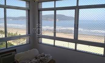 Imagem 7: SANTOS - Padrão - Gonzaga