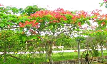 Imagem 4: Chácara Linda E Aconchegante - Tatuí - Sp