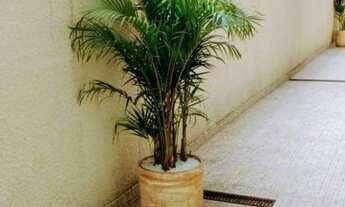 Imagem 6: SÃO PAULO - Apartamento Padrão - PARADA XV DE NOVEMBRO