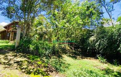 Imagem 3: Casa com 2 dormitórios à venda, 200 m² por R$ 450.000,00 - Los Álamos - Vargem Grande Paul