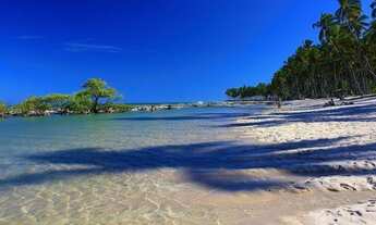 Imagem 3: Lançamento de 1,2 e 3 quartos na Beira-mar da praia dos Carneiros