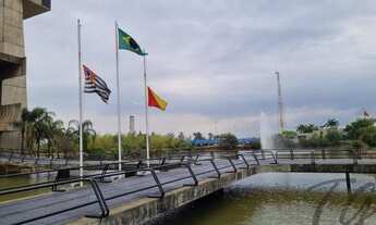 Imagem: AREA COMERCIAL em AVENIDA IPANEMA - SP
