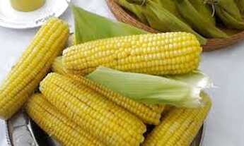 Imagem 6: Vendo 9 lotes um ao lado do outro c/ 196 m², todos 100% planos em Tanquinho (Guamiun)-Pira